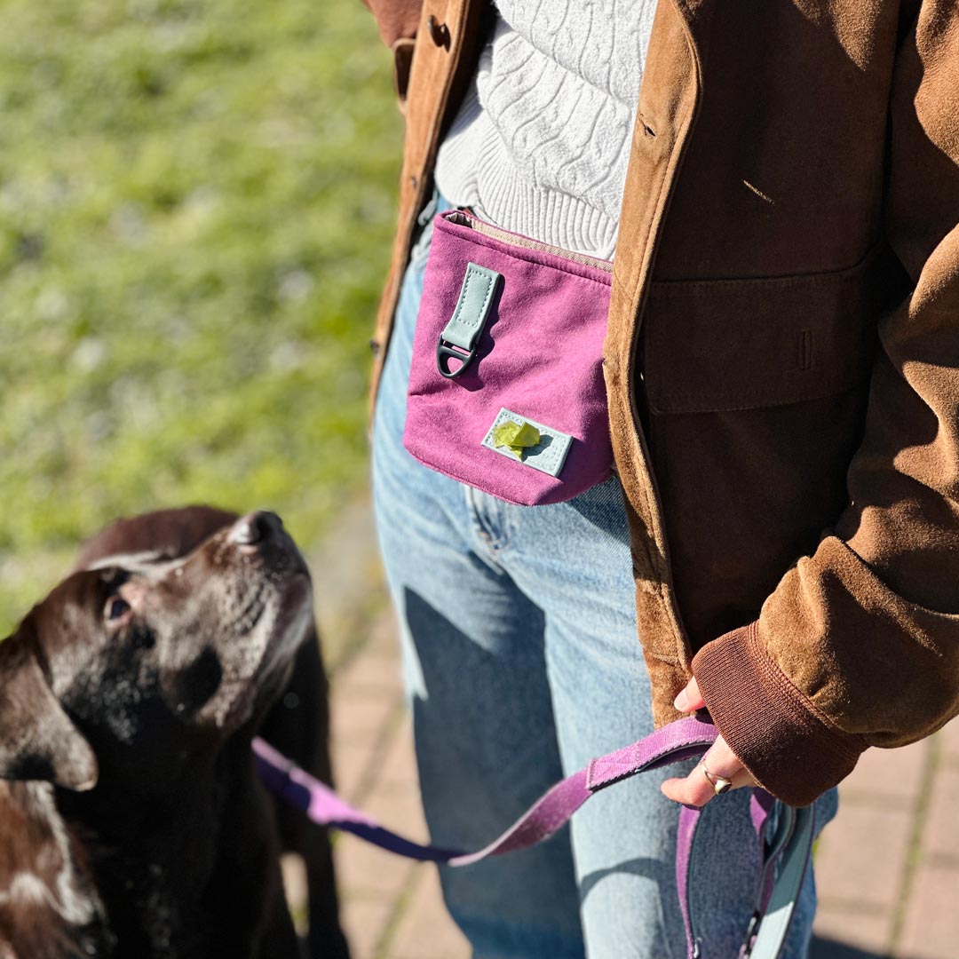 Porta snack per cani colore Purple indossato durante la passeggiata con il cane